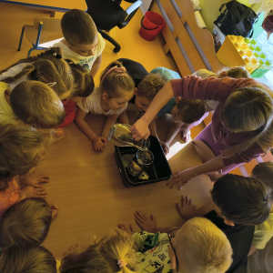 Zdziwienie spowodowane eksperymentem z mandarynką:)